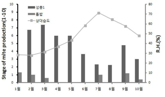 넓적사슴벌레 성충 및 톱밥에 발생한 응애량