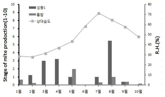 왕사슴벌레 성충 및 톱밥에 발생한 응애량