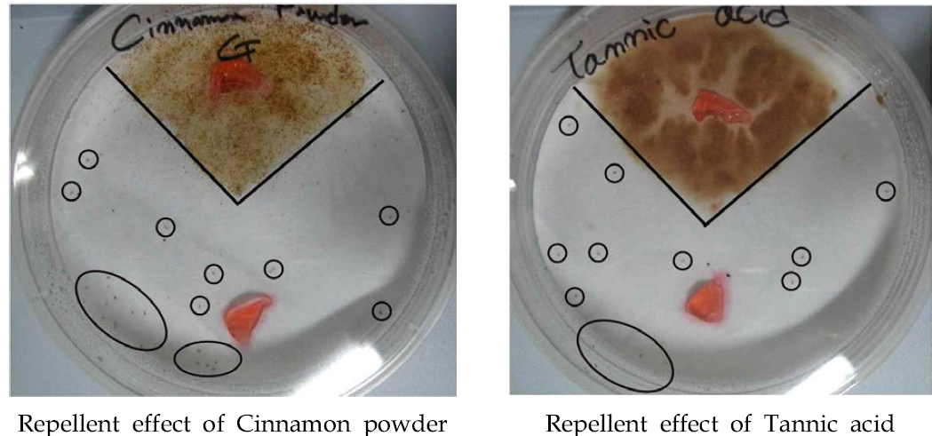 Cinnamon powder와 Tannic acid의 기피효과