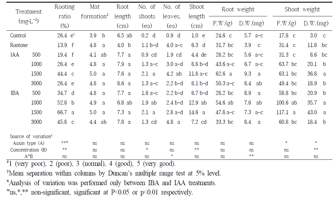 Effect of auxin treatments on the rooting and shoot growth according to semi-hardwood cuttings in Hydrangea paniculata ‘Magical Candle’