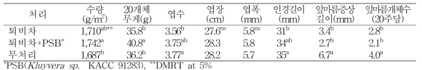 미생물 배양액 토양관주 처리시 부추 수량 및 품질특성(2015년)