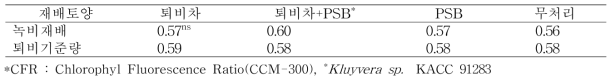 미생물 처리시 마늘 엽중 엽록소함량(CFR)