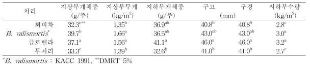 난지형 마늘 생육초기 처리효과(3월 초순부터 3회 처리, 2016년)