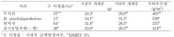 마늘흑색썩음균핵병 방제효과 및 수량특성