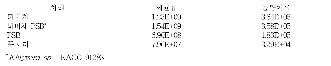 부추재배지 미생물처리시 세균류, 곰팡이류의 밀도(2015년)