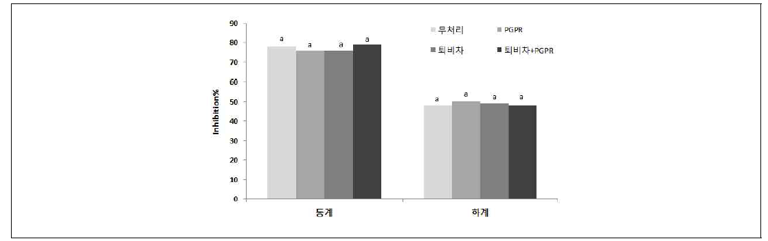 미생물 처리에 의한 DPPH 라디칼 소거능(2015년)