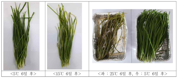 저장 온도에 따른 유기재배 부추 품질변화