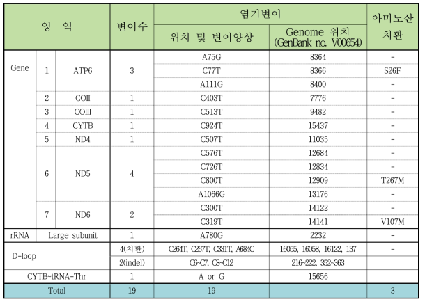 mtDNA genome 영역별로 확인된 염기변이 정보