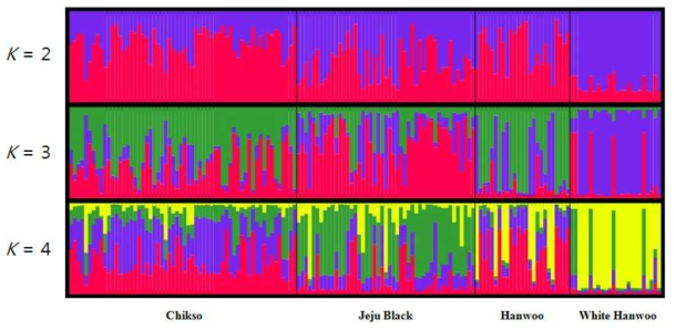 4개 재래종 대상 집단구조분석 (STRUCTURE) 결과