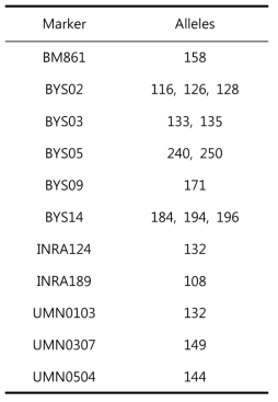 백한우 Y 염색체 상의 11개 마커의 대립유전자