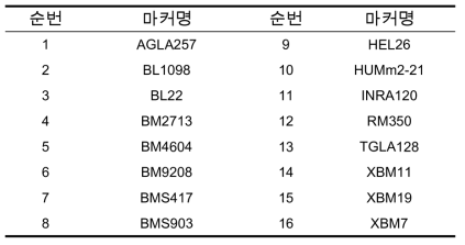 X 염색체 특이적 초위성체 마커 16종 시험