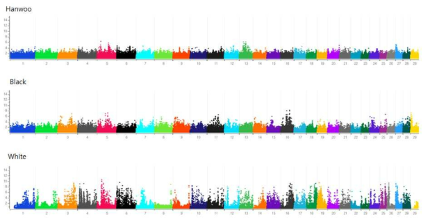 Integrated Haplotype Score (iHS) analysis