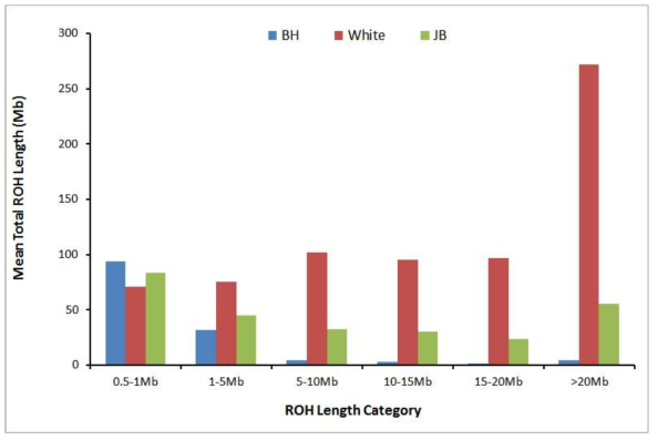 각 runs of homozygosity (ROH) 범주내의 개체 당 ROH의 평균값