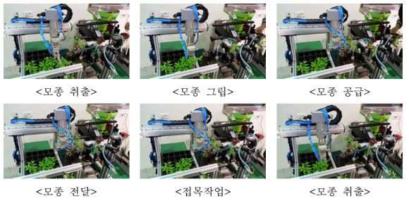 모종 공급장치와 접목로봇의 연계 시험