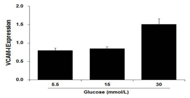 고농도포도당에 의한 혈관내피 세포의 부착분자 발현 평가