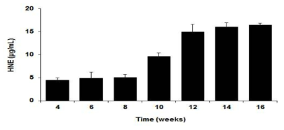 마우스 혈청 내 HNE 생성 평가