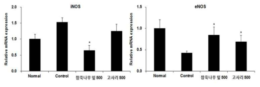 마우스 혈관 조직 내 염증 마커 발현 평가