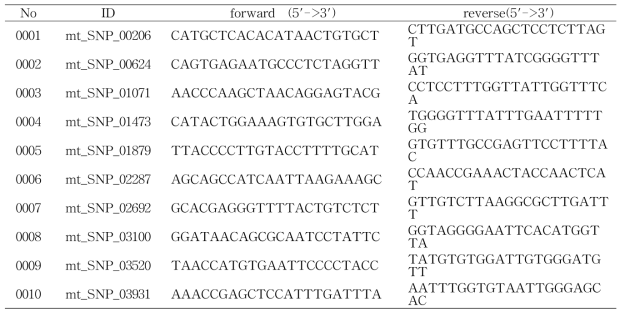 소 품종별 mtDNA 내 변이체 발굴을 위한 프라이머 염기서열정보