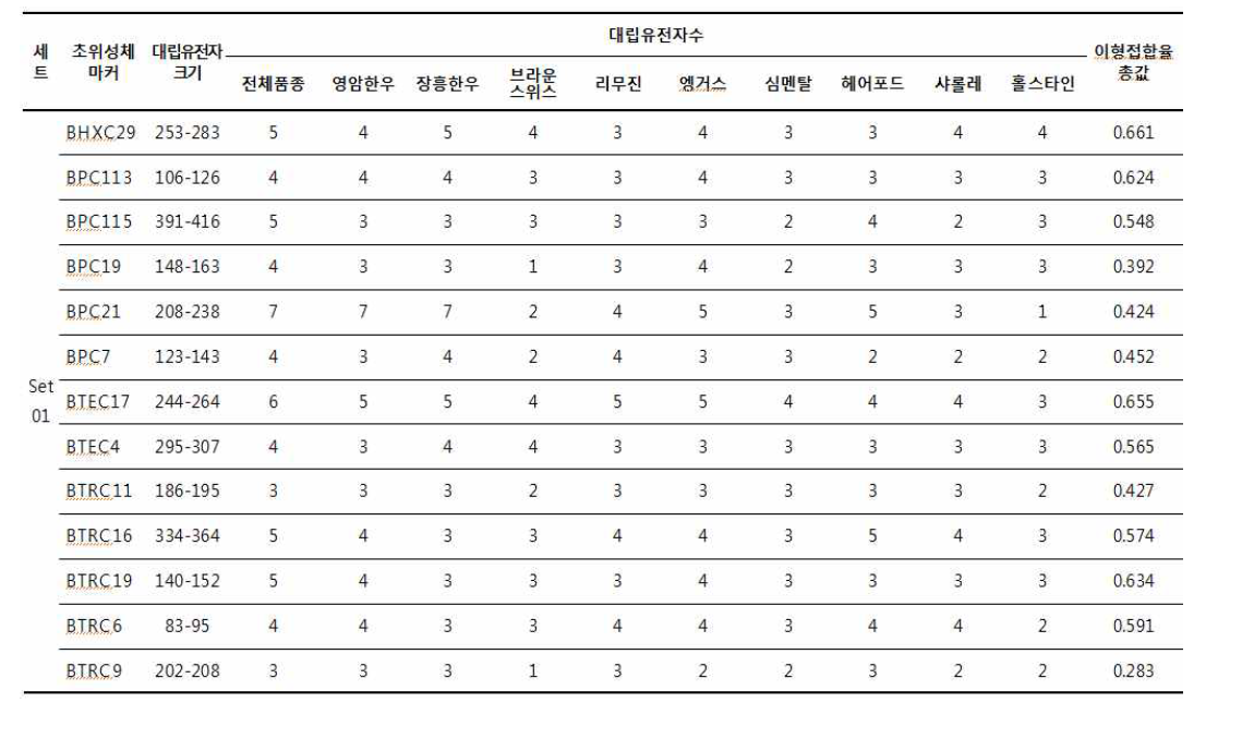 초위성체 마커의 증폭산물 크기와 대립유전자수 및 이형접합율 총값