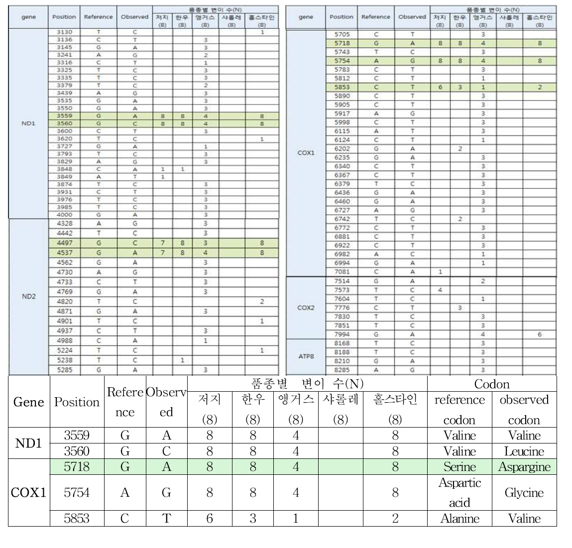 한우 및 외국종(4품종)의 mtDNA 유전자 코딩 영역 내 변이 발굴