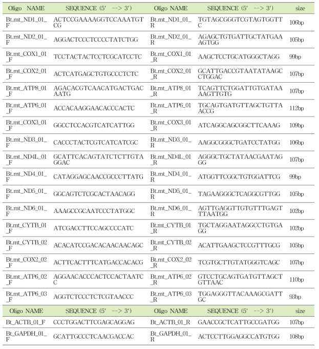 qPCR 프라이머 정보