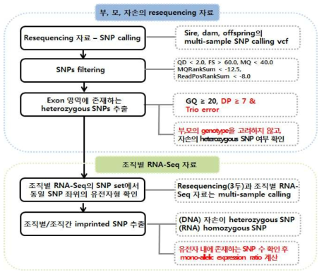 차세대염기서열 활용 각인유전자 발굴 분석과정