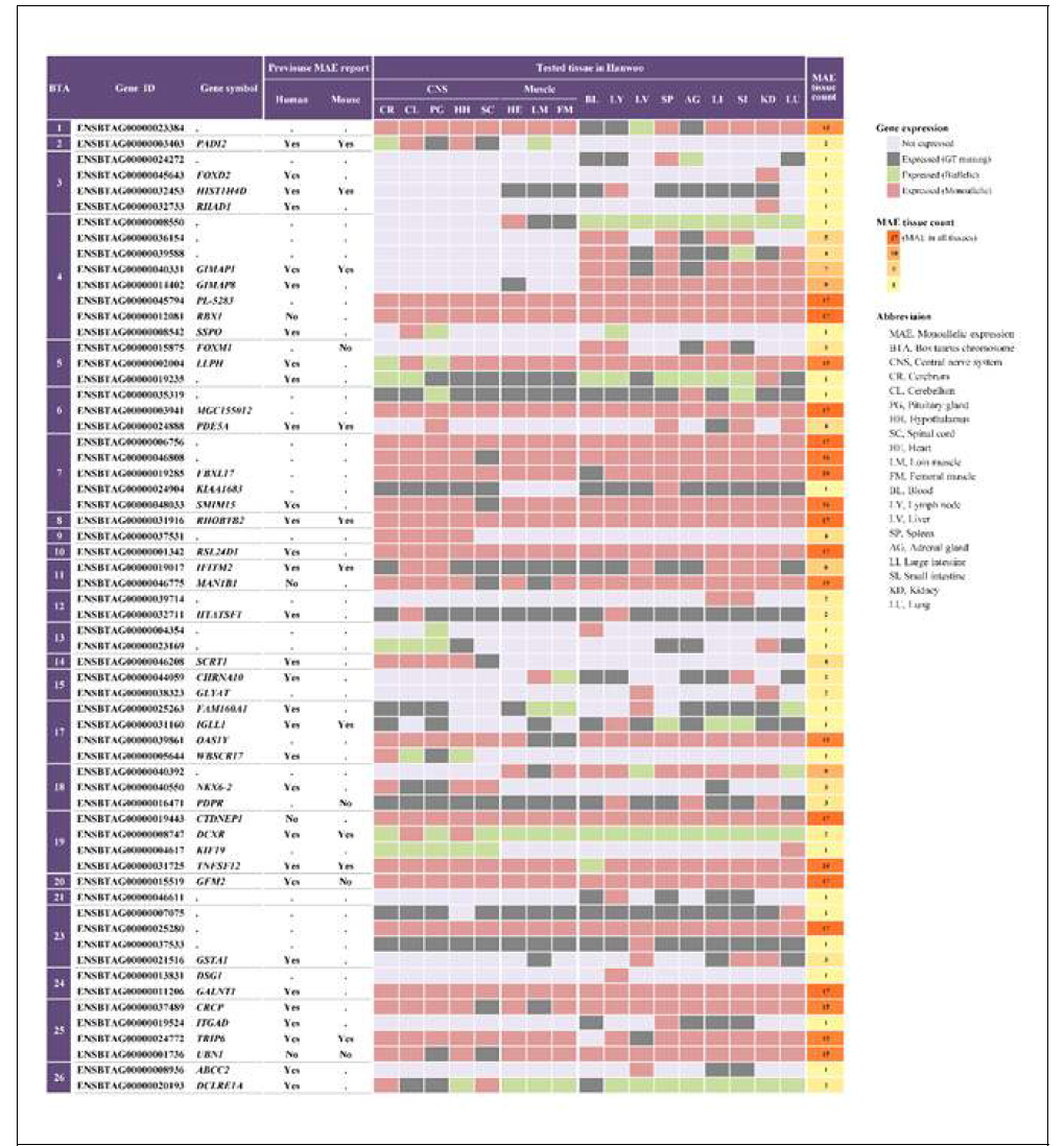 Monoallelic expression of 62 genes in 17 various tissues. The expression levels below FPKM 1 were considered as absence of expression, and represented by light purple squares. FPKM, fragments per Kilobase of exon per million fragments mapped