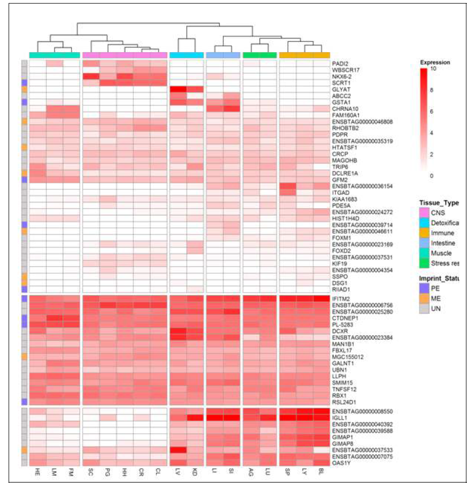 The expressions and imprinting status of imprinted genes in all tested tissues. Red color scale represents log2(median FPKM + 1). The values above 10 were represented to 10, which means the gene expression is very high in the tissue. FPKM, fragments per Kilobase of exon per million fragments mapped; PG, Pituitary gland; HH, Hypothalamus; SC, Spinal cord; LY, Lymph node; SP, Spleen; LV, Liver; LI, Large intestine; SI, Small intestine; HE, Heart; LM, Loin muscle; FM, Femoral muscle; KD, Kidney; AG, Adrenal gland; BL, Blood; LU, Lung; CR, Cerebrum; CL, Cerebellum; PE, paternal expression; ME, maternal expression; UN, unknown