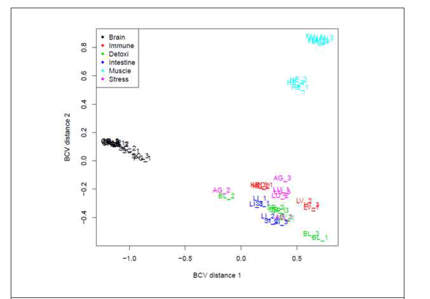 MDS plot of gene expression for each sample