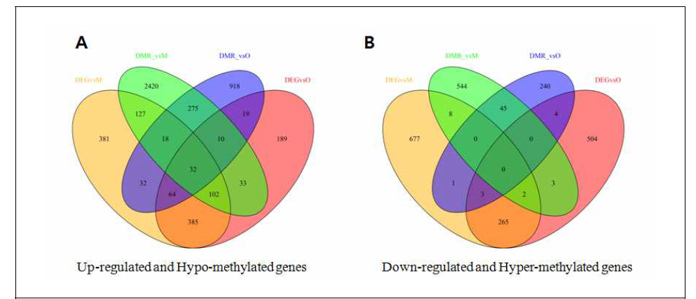 Combined results from DEG and DMR analysis
