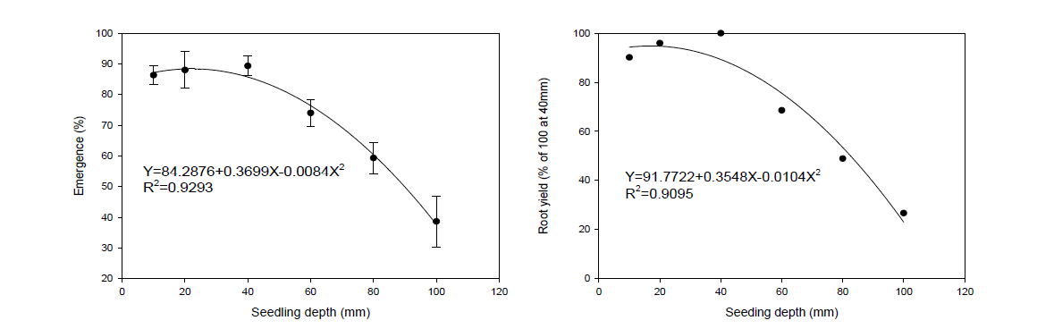 파종 깊이에 따른 출아율과 40mm 100% 설정 수량지수