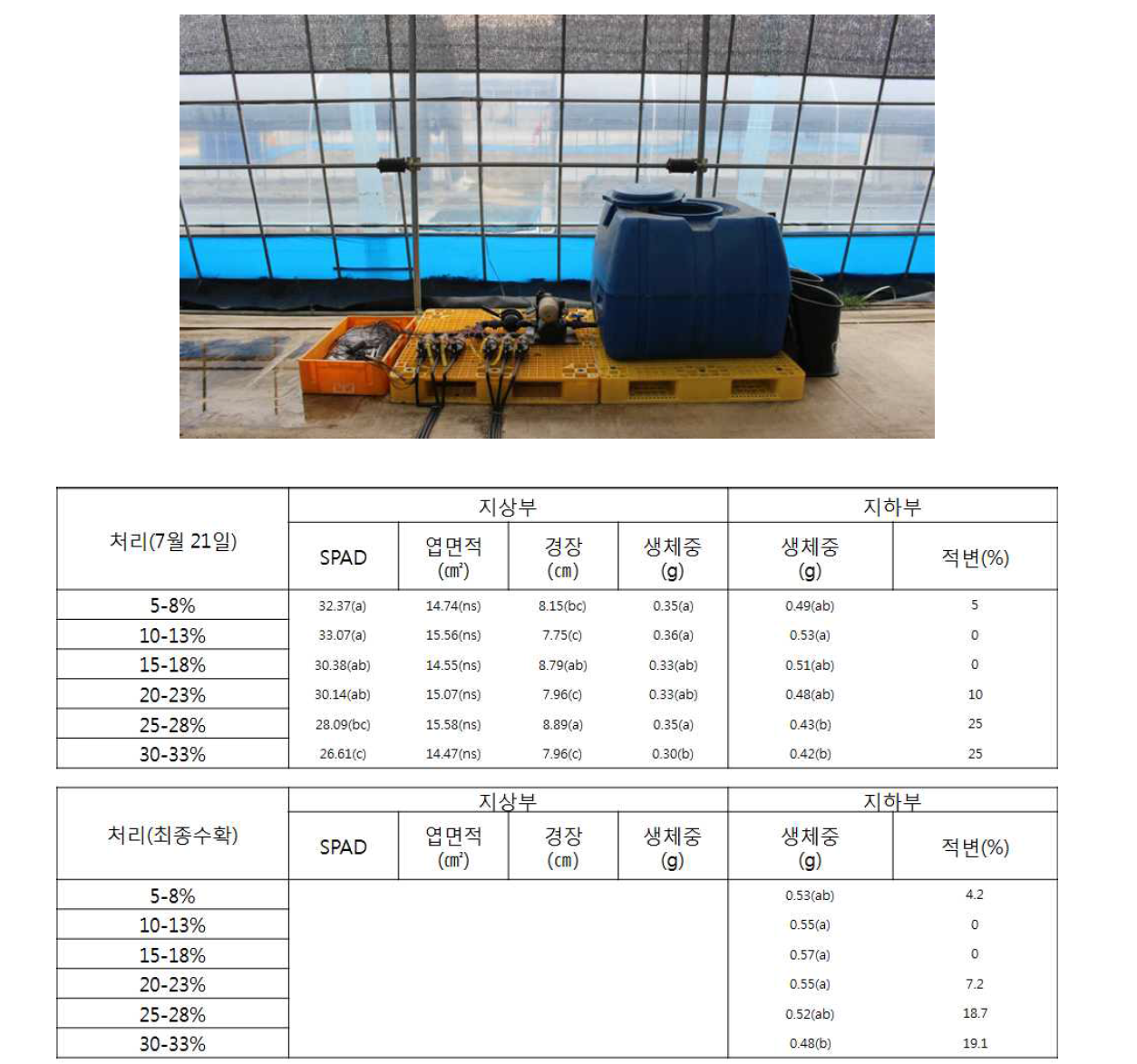 상토 수분함량 설정에 따른 묘삼 생육