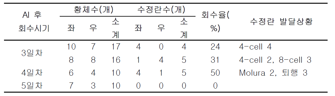 인공수정 후 도축일자별 암퇘지 회수 난소의 형태, 수정란회수율 및 발달상황