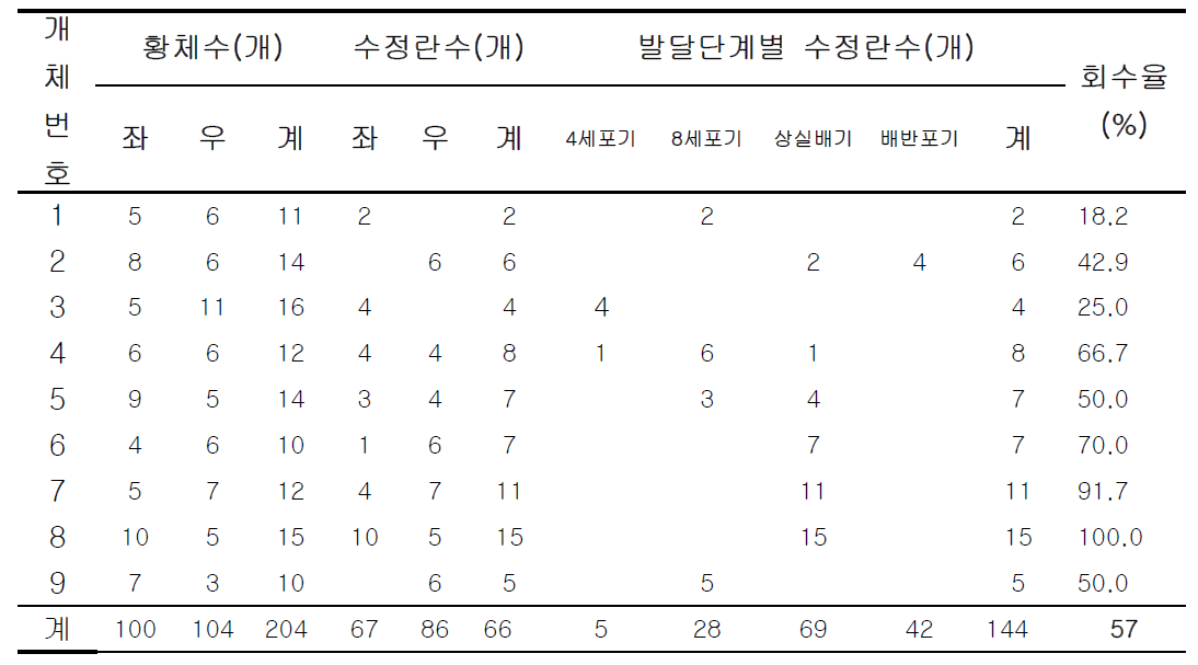 인공수정 후 4일차 암퇘지 체내 수정란 채취 성적