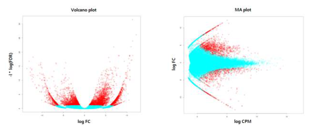 정상 및 유도발현 벼메뚜기의 유전자 발현 차이: Volcano plot과 MA plot