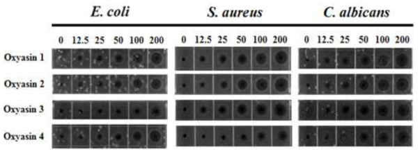 옥시야신 1 ~ 4 항균활성능 재검정