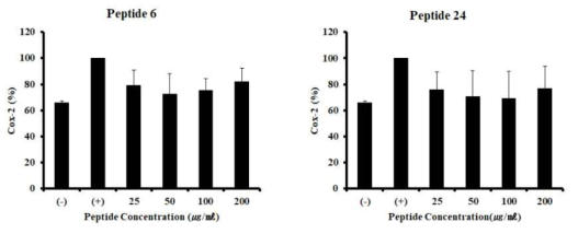 선발된 펩타이드를 이용한 Cox-2 유리량 감소 확인