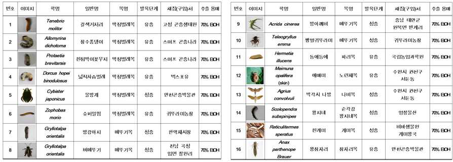 대상곤충의 사진, 종명, 채집 장소 및 추출 용매