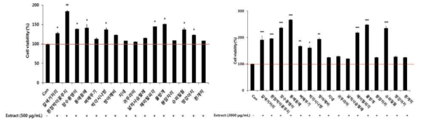 모유두세포에 저농도(좌) 및 고농도 추출물(우) 처리 시 세포독성 및 세포증식 효과 확인