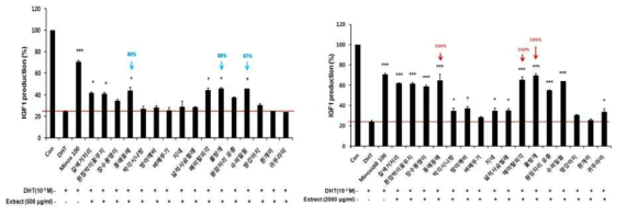 모유두세포에 DHT와 저농도(좌) 및 고농도 곤충 추출물(우)과 동시 처리 시 IGF1의 생성 회복 확인