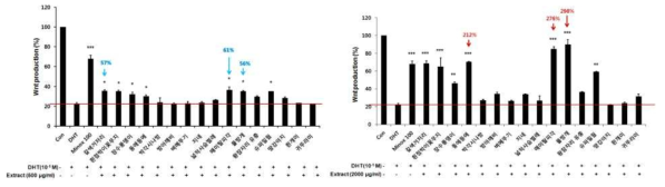 모유두세포에 DHT와 저농도(좌) 및 고농도 곤충 추출물(우)과 동시 처리 시 Wnt의 생성 회복 확인
