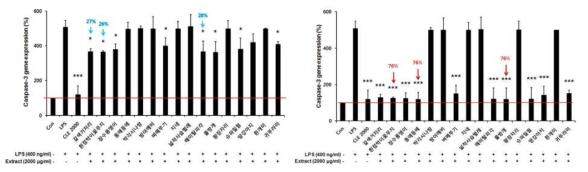 모모세포에 LPS와 저농도(좌) 및 고농도 곤충 추출물(우)을 동시 처리 시 caspase-3 억제 효과 확인