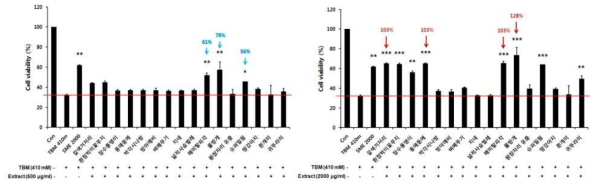 섬유아세포에 tolbutamide와 저농도(좌) 및 고농도 추출물(우) 처리 시 세포독성 및 세포증식 확인