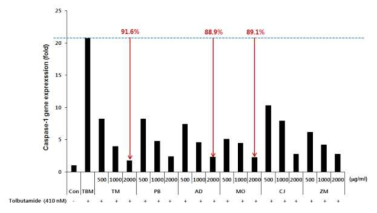 섬유아세포에 TBM과 곤충 추출물 동시 처리 시 caspase-1 억제 확인 TM: 갈색거저리, PB: 흰점박이꽃무지, AD: 갈색거저리, MO: 애매미탈피각, CJ: 물방개, ZM: 슈퍼밀웜