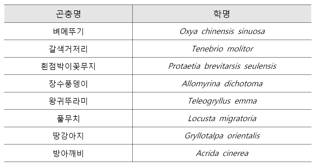 실험에 사용된 곤충