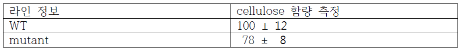 돌연변이체의 뿌리에서 cellulose 함량 측정