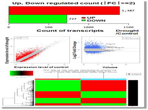 RNA seq data