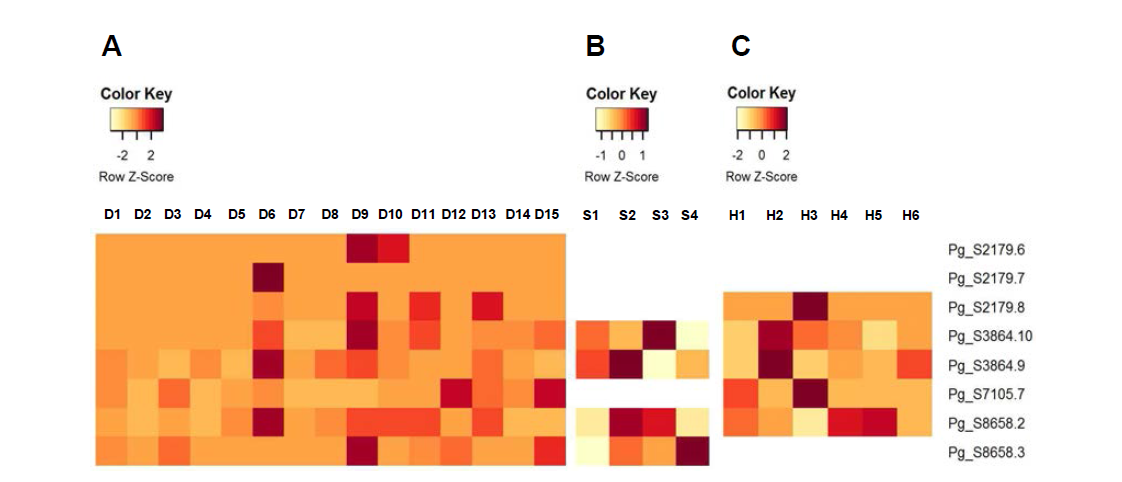 Heatmap of HRT genes in P. ginseng genome. EExpression profiles in various tissues at various developmental stages (A) and under abiotic stresses (B and C) were determined using normalized FPKM values obtained from RNA-Seq data. Expression values (FPKM) were scaled per row (i.e. per gene) to visualize expression peaks of genes among samples. Heatmap was generated using heatmap.2 function provided by the R-package gplots. D1, adventitious roots; D2, seeds (stratified and stored at 4℃); D3, seeds (imbibed at 4℃ for 3 weeks); D4, seedlings of 30 days old; D5, leaves of 1-year old plants; D6, roots of 1-year old plants; D7, leaves of 5-year old plants; D8, stems of 5~6-year old plants; D9, main roots of 6-year old plants; D10, rhizomes of 6-year old plants; D11, lateral roots of 6-year old plants; D12, dormant roots of 7-year old plants; D13, flowers; D14, immature fruits; D15, mature fruits; S1, control plants (1-year old whole plants); S2, plants treated with 100 mM NaCl for 24 hr;S3, plants treated with cold (4℃) for 24 hr; S4, plants treated with drought (air-drying) for 24 hr; H1, leaves of control plants (1-year old, cv. ChP); H2, leaves of plants (1-year old, cv. ChP) treated with heat (30℃) for 1 week; H3, leaves of plants (1-year old, cv. ChP) treated with heat (30℃) for 3 weeks; H4, leaves of control plants (1-year old, cv. YuP); H2, leaves of plants (1-year old, cv. YuP) treated with heat (30℃) for 1 week; H3, leaves of plants (1-year old, cv. YuP) treated with heat (30℃) for 3 weeks