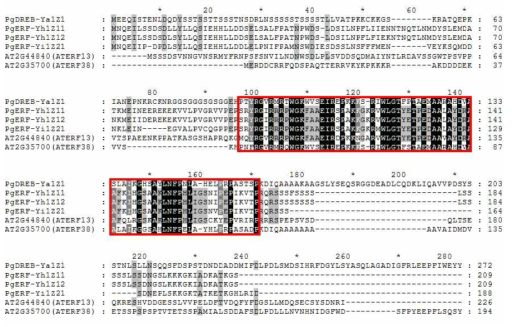 Multiple alignment of the deduced protein sequences of cloned four genes and Arabidopsis homologous genes. The conserved AP2/EREBP domain is indicated by the red boxes. Shaded boxes indicate conserved residues among compared proteins. The alignment was made using ClustalW and GeneDoc software