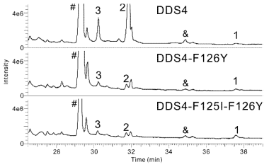 GC/MS로 확인한 DDS2 돌연변이체의 기능. 클로닝된 OSC를 효모에서 발현시켰으며 GC/MS로 확인한 total chromatogram과 주요 peak의 mass spectra를 보여준다. 각 peak에 대한 물질은 Fig. III-7-1과 같다